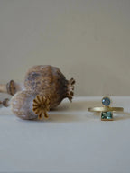 Reflection Ring II - 18ct Gold Tourmaline & Sapphire Ring